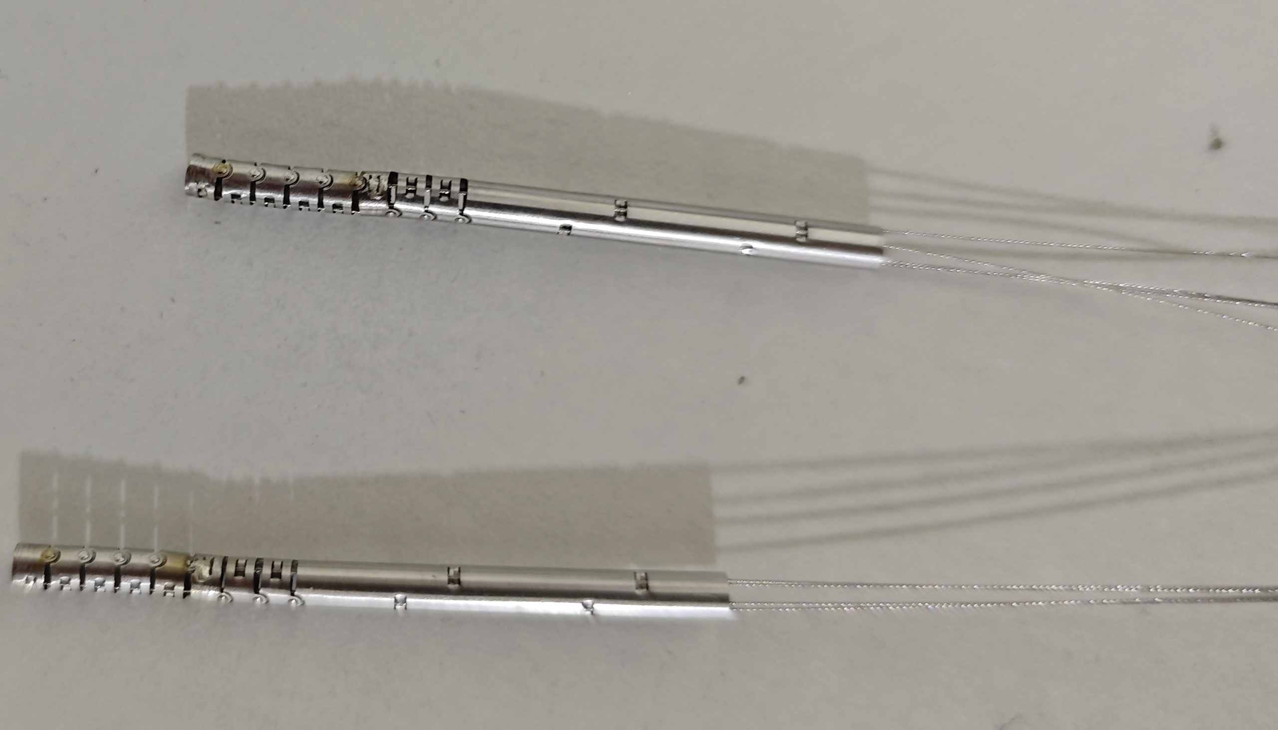 Endoscopic snake bone