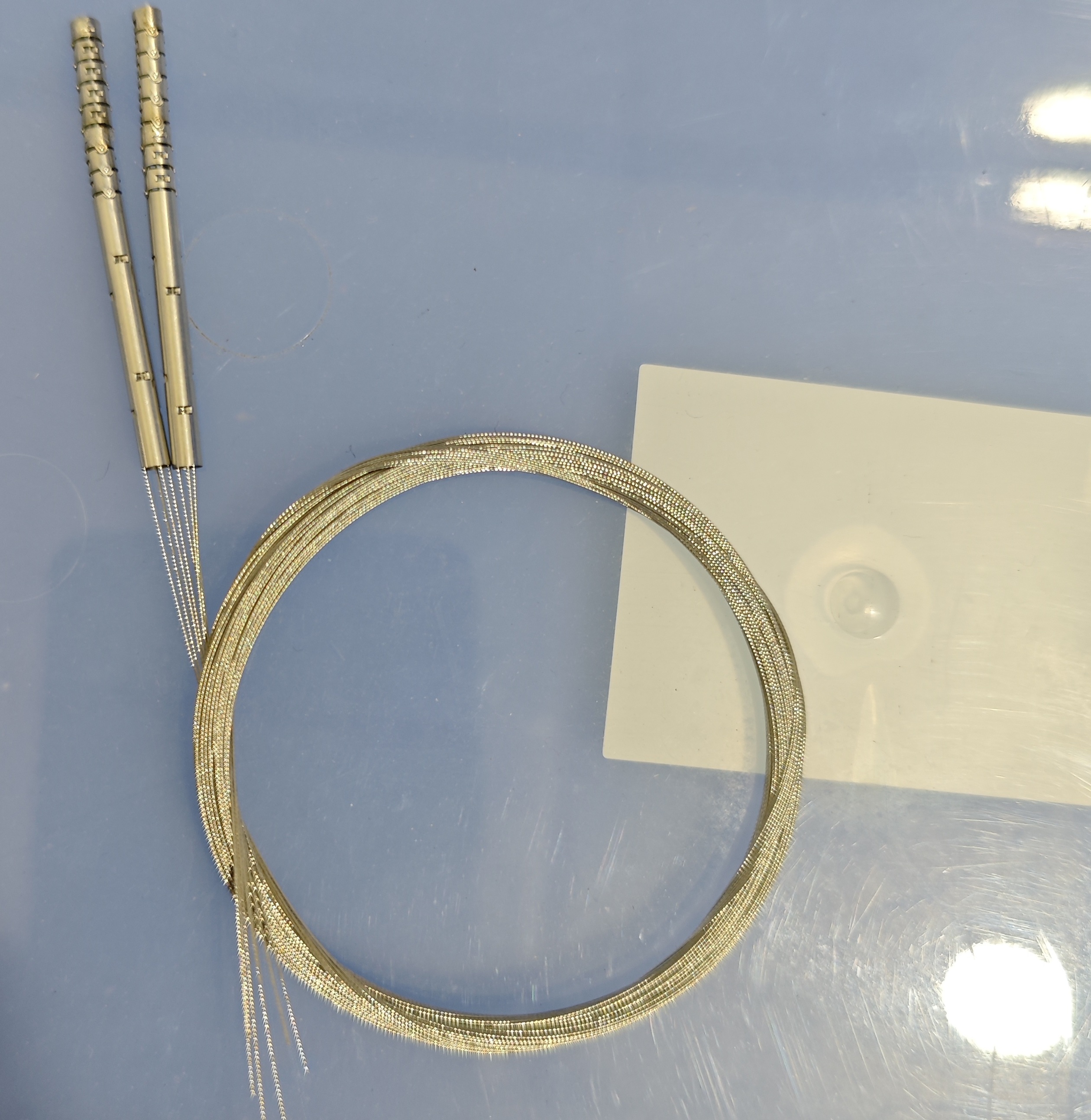 Endoscopic snake bone
